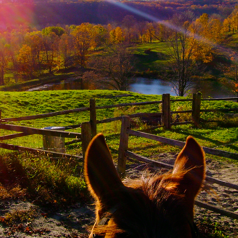 Hartland VT Real Estate Homes & Land For Sale